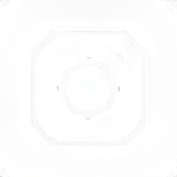 instagram Link